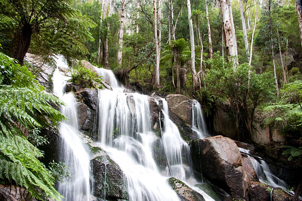 Tooronga Falls located in Victoria, Australia stock photo