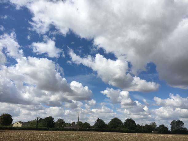 istock Beautiful blue sky and clouds Harvest time 1483928438