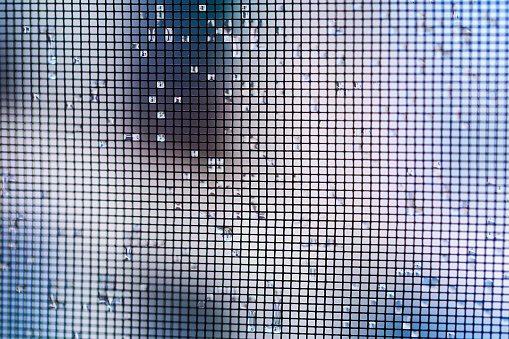 A macro of a window screen that is wet with water from rain in some spots.