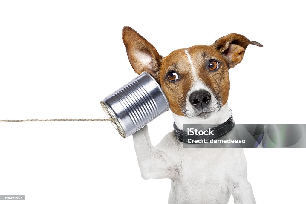 dog on the phone dog on the phone with  a can Dog Stock Photo