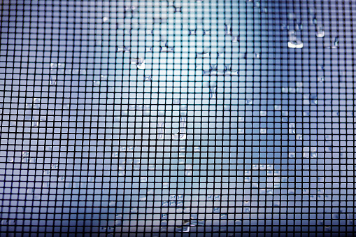 A macro of a window screen that is wet with water from rain in some spots.