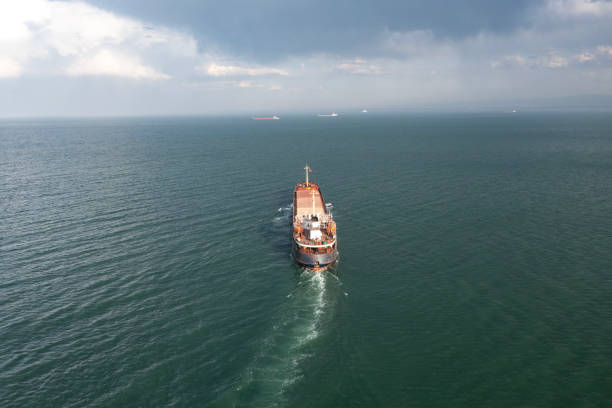 istock Aerial view of cargo ship in transit. 1483930795