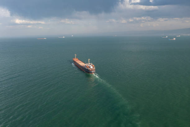 istock Aerial view of cargo ship in transit. 1483930908