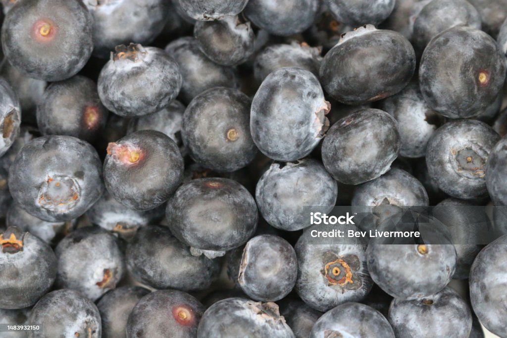 Yummy blueberries Blueberries Antioxidant Stock Photo