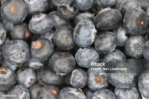 Yummy Blueberries Stock Photo - Download Image Now - Antioxidant, Backgrounds, Berry