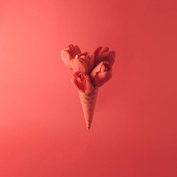 istock Ice cream cone with tulip flowers. Minimal spring concept. Flat lay. Monochromatic red. 1483944274