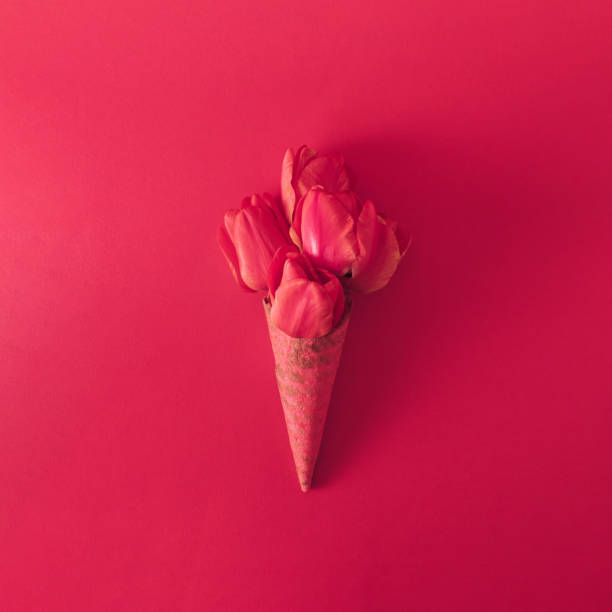 istock Ice cream cone with tulip flowers. Minimal spring concept. Flat lay. Monochromatic red. 1483944301