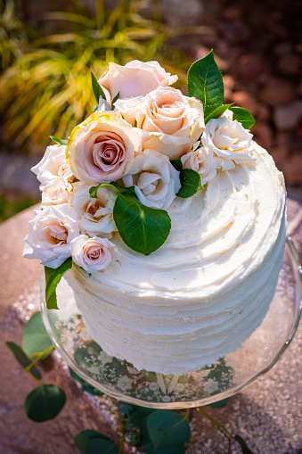 A simple yet elegant wedding cake, frosted with white textured icing and topped with beautiful pink and white roses in a gorgeous outdoor Southern Utah setting.