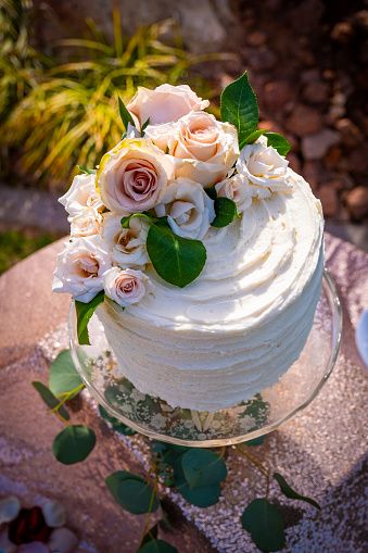 A simple yet elegant wedding cake, frosted with white textured icing and topped with beautiful pink and white roses in a gorgeous outdoor Southern Utah setting.