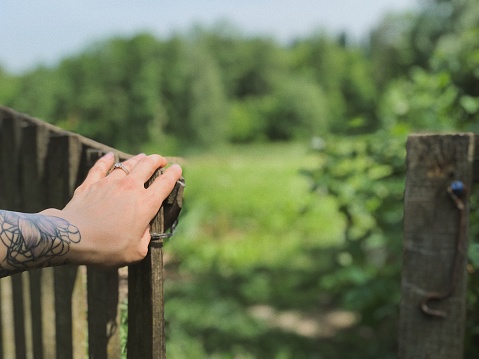 Girl's hand, nature, fence, summer, warmth