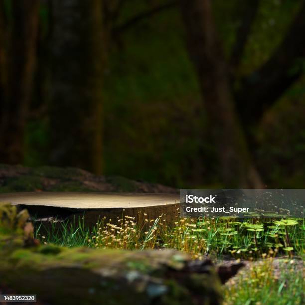 Nature Wood Forest Log Product Mockup Presentation Platform Stock Photo - Download Image Now