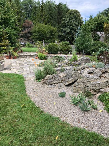 istock Landscaped rock garden in summer 1483956933