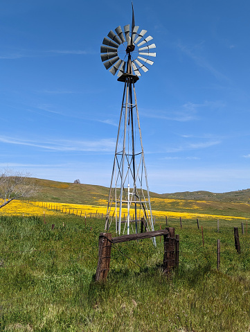 Super bloom and old windmill on a ranch along CA-58 near Fernandez Creek in south central California early April 2023