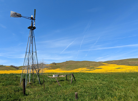 Weathervane with a horse and buggy top.  