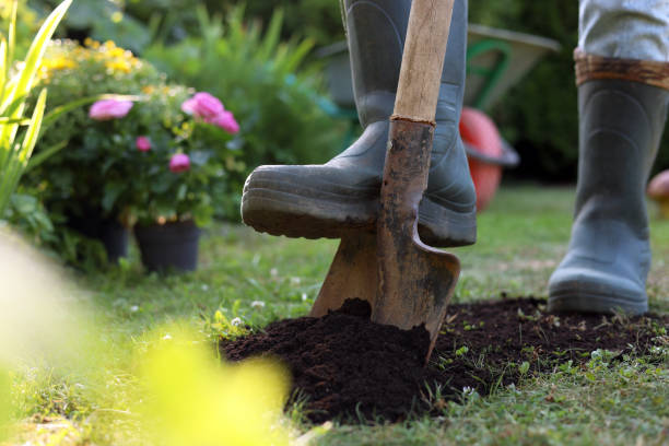 istock Man digging soil with shovel outdoors on sunny day, closeup. Gardening time 1483964632