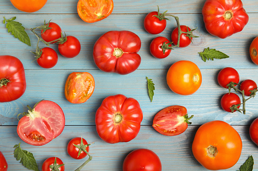 Flat lay composition with different ripe tomatoes and leaves on light blue wooden table