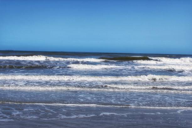 istock Gulf of Mexico 1483966027