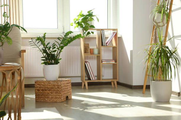 istock Stylish room interior with different beautiful houseplants 1483968820
