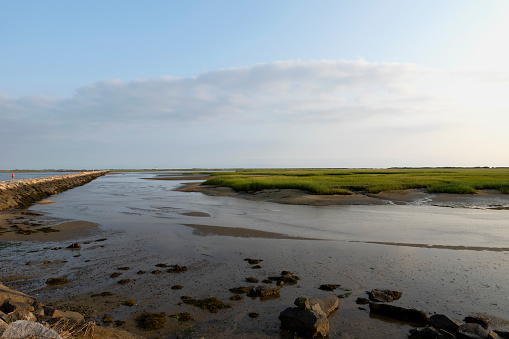 View of the salt marsh at Hatches Harbor along the Cape Cod National Seashore, Province Town, Massachusetts.
