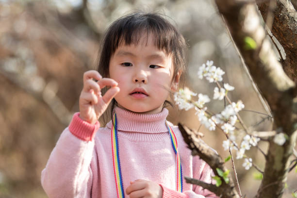 istock A little girl is observing plum blossom 1483989947