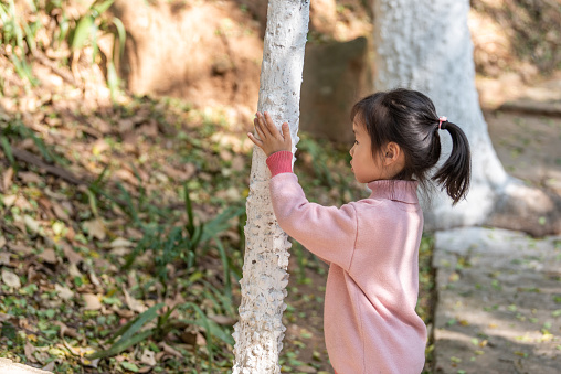 A girl observes the leaves of the trunk in the park