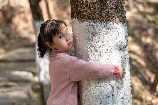 A girl observes the leaves of the trunk in the park