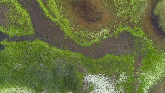 Amazing aerial view of typical Pantanal wetlands landscape with lagoons, rivers, meadows and trees, Mato Grosso, Brazil
