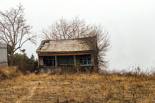 An old abandoned house is shrouded in fog. An old house in the woods, a foggy morning. A tree and a house in the fog. An old wooden house in the fog.