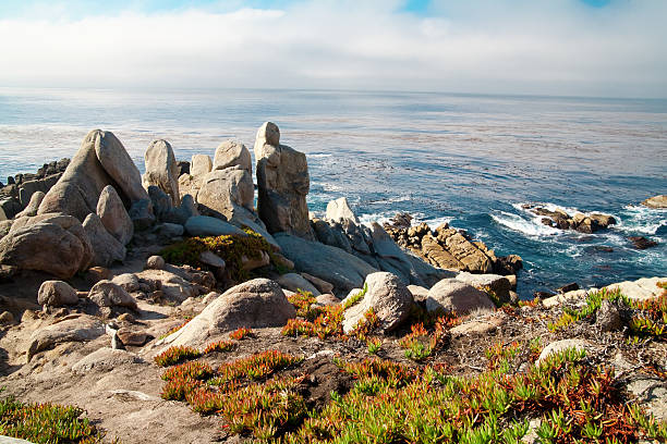 istock Pacific Ocean shoreline with rocks and shrubs. 148400991