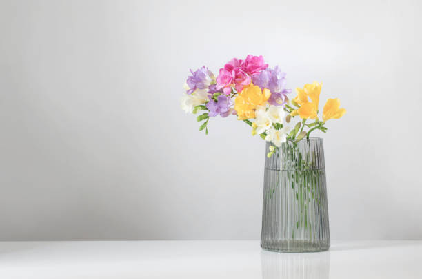 istock freesia flowers  in glass modern vase on white background 1484018728