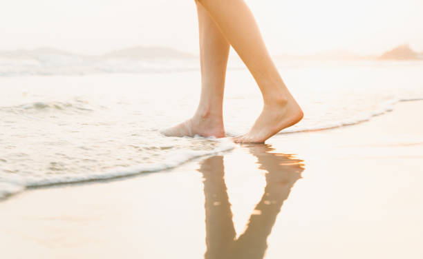 Woman's legs stand on the beach at sunset time. stock photo