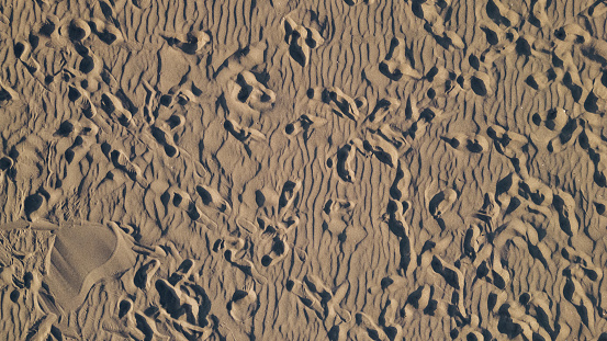 Aerial view of a footprints in wet sand on a beach during a sunset. Beach and footsteps on a vacation concept.