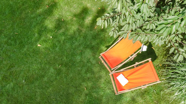 istock Summer garden with sunbed deckchairs on grass aerial top view, green park trees and place for relax from above 1484024607