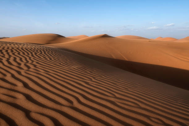 istock Sunset on rippled Sand Dunes, Wahiba Sands Desert, Oman 1484029571