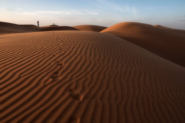 istock Sunset on rippled Sand Dunes, Wahiba Sands Desert, Oman 1484029609
