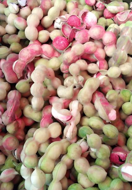 istock Manila tamarind fruit. Popular fruit in southeast asia. 1484035043