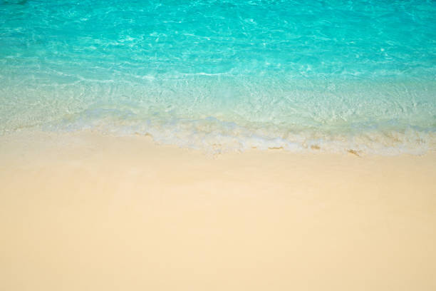 istock Wave of tropical sea beach on white sand 1484038498