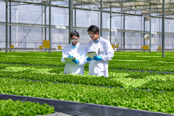 istock Two Young Asian Researcher Examining & Discussion at Smart Greenhouse 1484045040