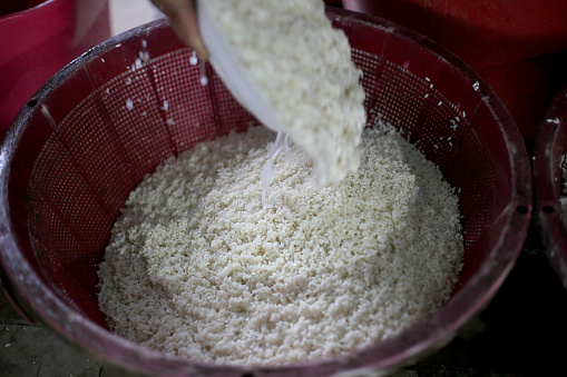 Human hand using a plate to scoop soaked glutinous rice for lemang (glutinous rice cooked with coconut milk in hollowed bamboo) preparation