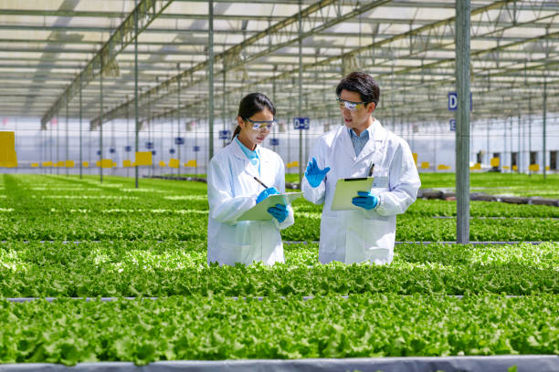istock Two Young Asian Researcher Examining & Discussion at Smart Greenhouse 1484045641