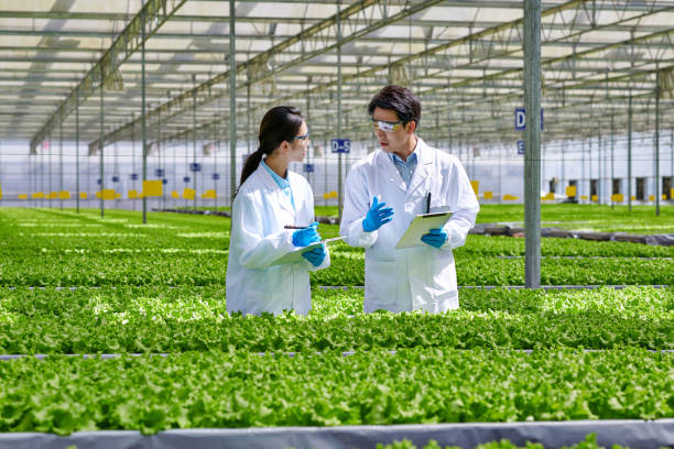 istock Two Young Asian Researcher Examining & Discussion at Smart Greenhouse 1484045672