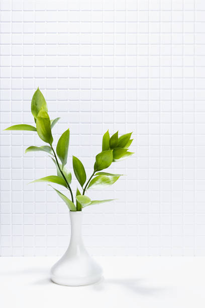 Elegant summer sunny white interior with green branch in ceramic vase in hard light with shadow, white tiny tiled wall, white table, copy space, vertical. Bathroom or kitchen minimalist home decor.