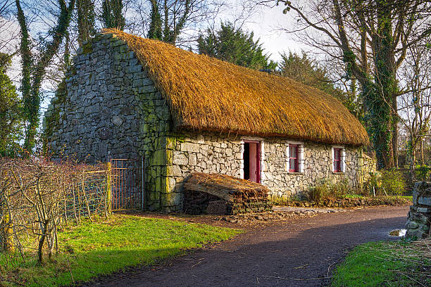 パスに、古いコテージハウス - republic of ireland irish culture cottage door ストックフォトと画像