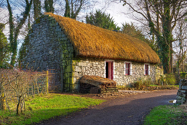 Brightly painted thatched roof cottage home in Adare, Ireland