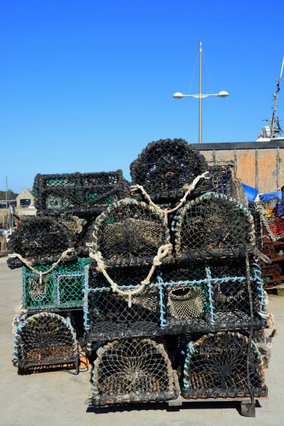 istock Lobster pots, West Bay, UK. 1484053649