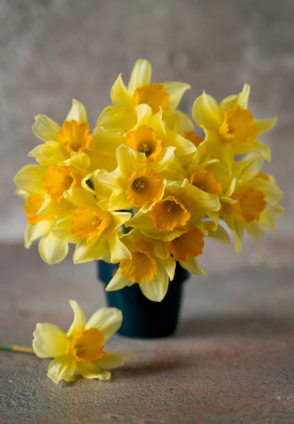 istock Bouquet of yellow daffodils in a vase 1484058617
