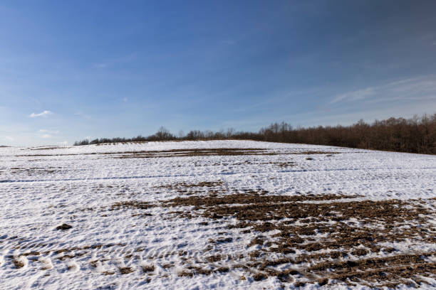 istock agricultural field for planting plants in winter 1484059331