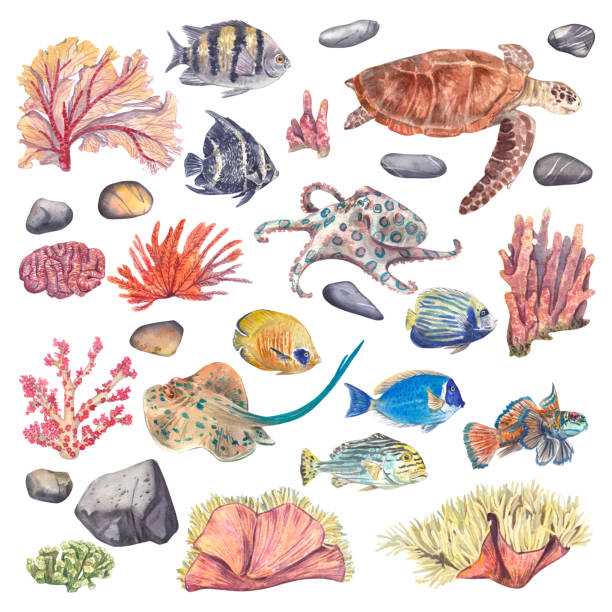 istock A set with underwater animals and plants isolated on a white background. Watercolor illustration of an underwater kingdom with a turtle, octopus, tropical fish, rocks and corals. Suitable for design. 1484069330