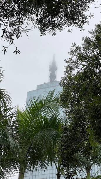 istock Stand still even foggy 1484077455