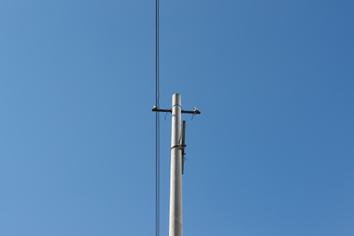 Telephone Pole